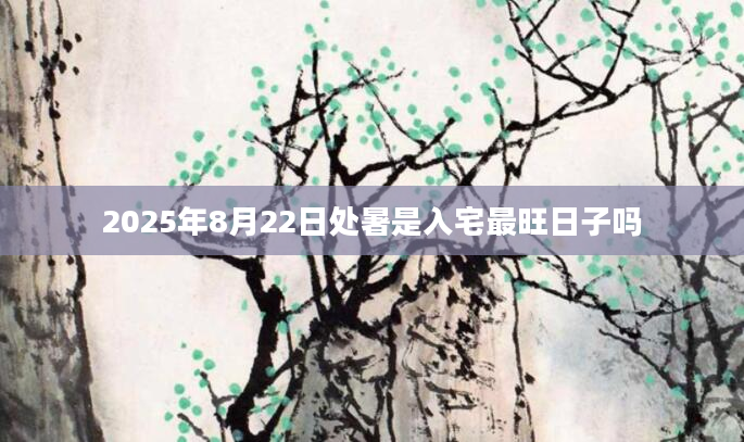 2025年8月22日处暑是入宅最旺日子吗