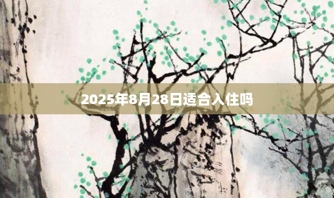 2025年8月28日适合入住吗
