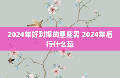 2024年好到爆的星座男 2024年后行什么运