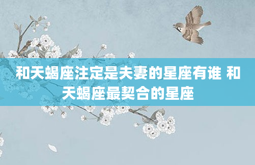 和天蝎座注定是夫妻的星座有谁 和天蝎座最契合的星座