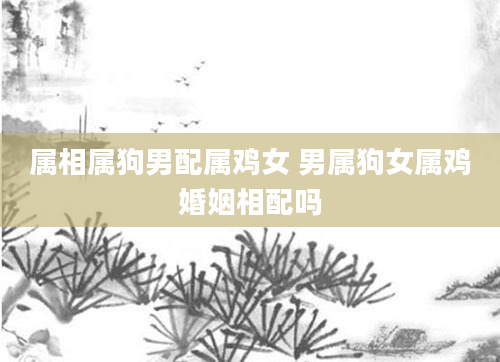 属相属狗男配属鸡女 男属狗女属鸡婚姻相配吗
