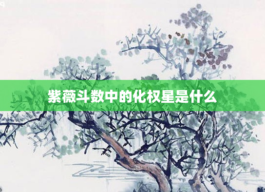 紫薇斗数中的化权星是什么