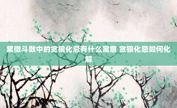 紫微斗数中的贪狼化忌有什么寓意 贪狼化忌如何化解