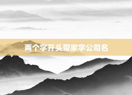 两个字开头带家字公司名