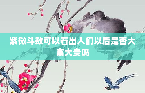 紫微斗数可以看出人们以后是否大富大贵吗