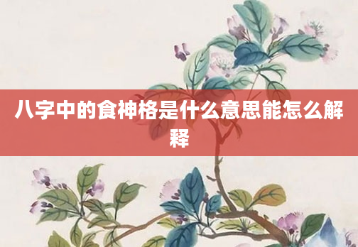 八字中的食神格是什么意思能怎么解释