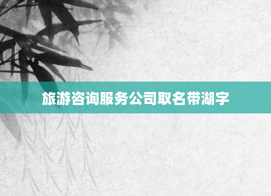 旅游咨询服务公司取名带湖字