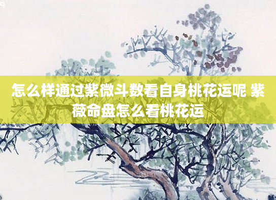 怎么样通过紫微斗数看自身桃花运呢 紫薇命盘怎么看桃花运