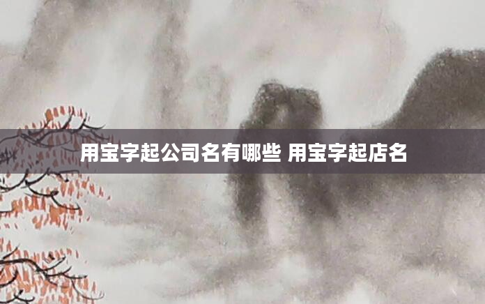 用宝字起公司名有哪些 用宝字起店名