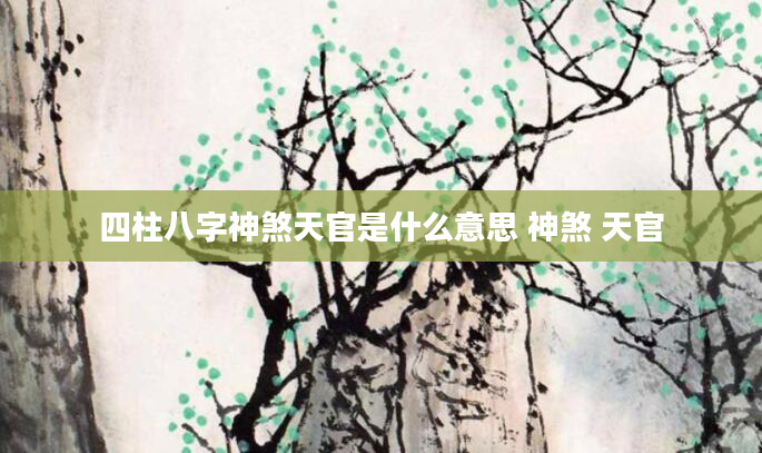 四柱八字神煞天官是什么意思 神煞 天官