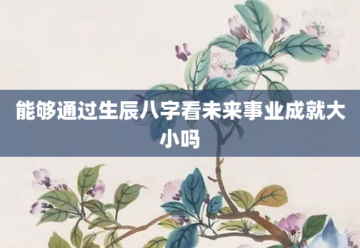 能够通过生辰八字看未来事业成就大小吗