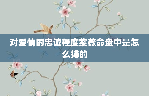 对爱情的忠诚程度紫薇命盘中是怎么排的
