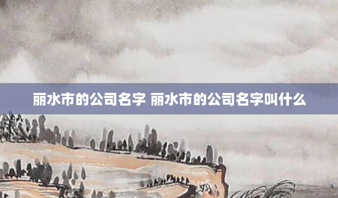 丽水市的公司名字 丽水市的公司名字叫什么