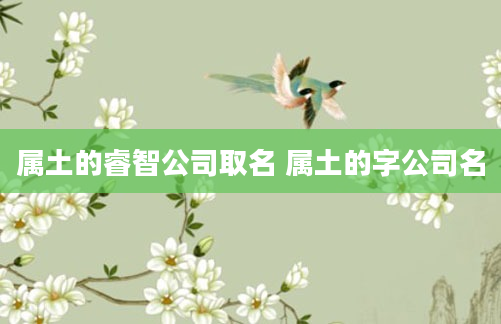 属土的睿智公司取名 属土的字公司名