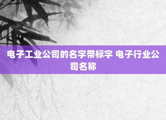 电子工业公司的名字带标字 电子行业公司名称
