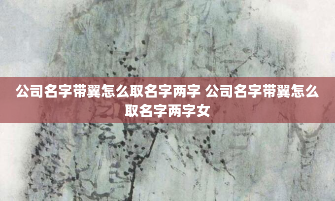 公司名字带翼怎么取名字两字 公司名字带翼怎么取名字两字女