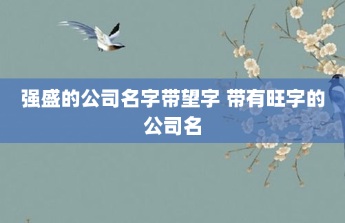 强盛的公司名字带望字 带有旺字的公司名