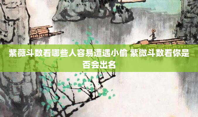 紫薇斗数看哪些人容易遭遇小偷 紫微斗数看你是否会出名