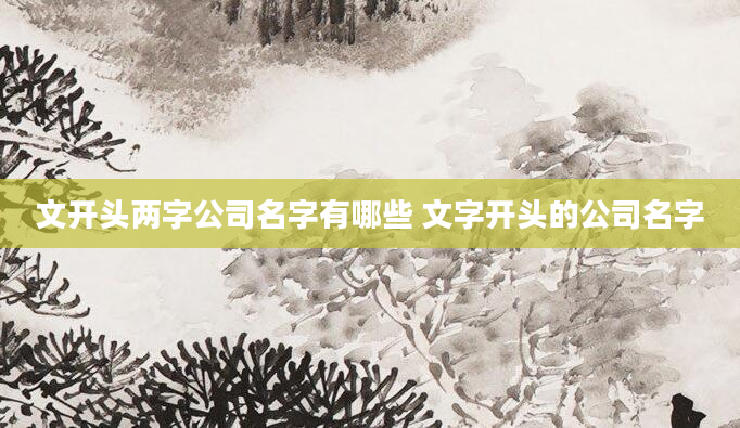文开头两字公司名字有哪些 文字开头的公司名字