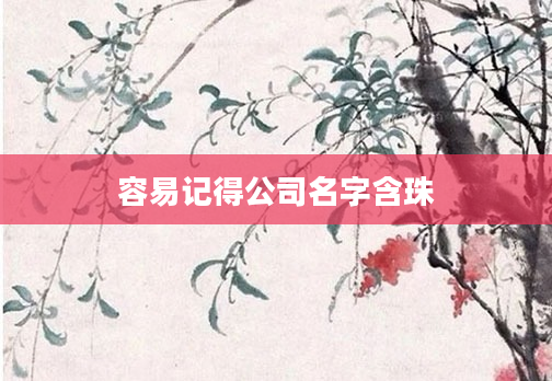 容易记得公司名字含珠
