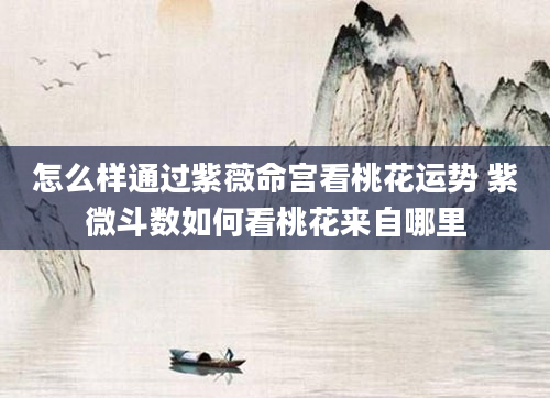怎么样通过紫薇命宫看桃花运势 紫微斗数如何看桃花来自哪里