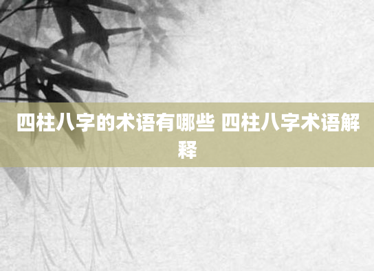 四柱八字的术语有哪些 四柱八字术语解释