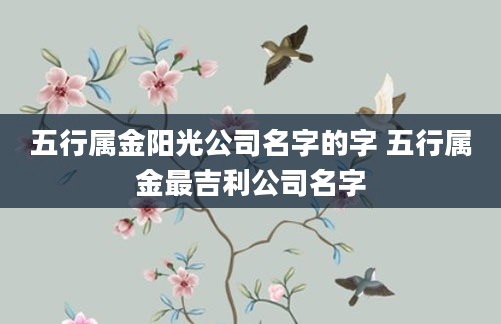 五行属金阳光公司名字的字 五行属金最吉利公司名字