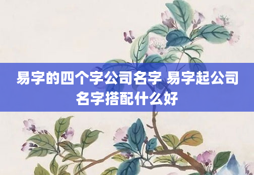 易字的四个字公司名字 易字起公司名字搭配什么好