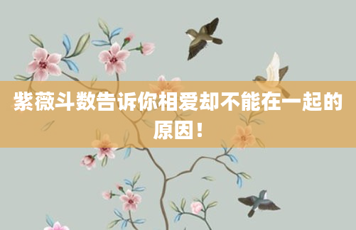 紫薇斗数告诉你相爱却不能在一起的原因！