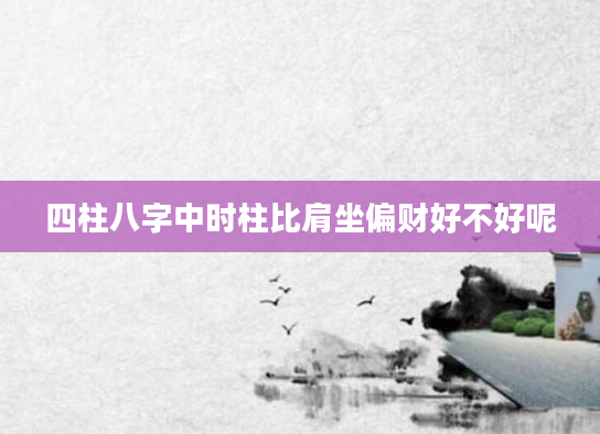 四柱八字中时柱比肩坐偏财好不好呢