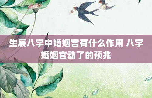 生辰八字中婚姻宫有什么作用 八字婚姻宫动了的预兆