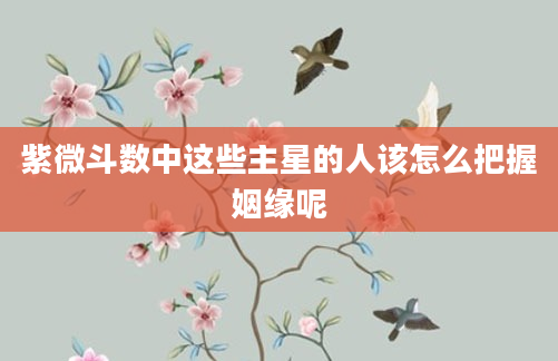 紫微斗数中这些主星的人该怎么把握姻缘呢