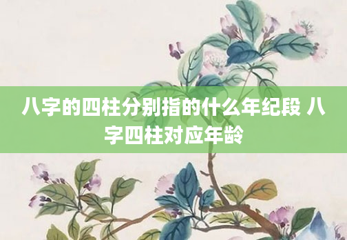 八字的四柱分别指的什么年纪段 八字四柱对应年龄