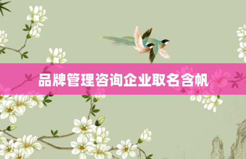 品牌管理咨询企业取名含帆