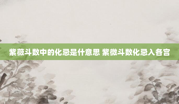 紫薇斗数中的化忌是什意思 紫微斗数化忌入各宫