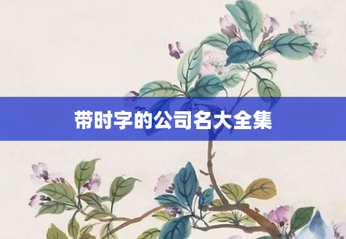 带时字的公司名大全集