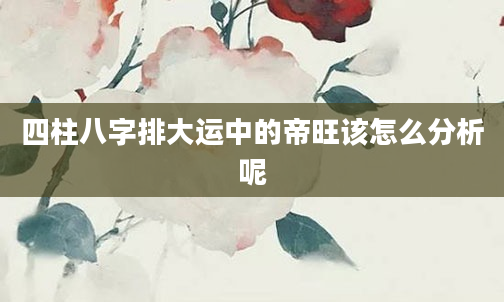 四柱八字排大运中的帝旺该怎么分析呢