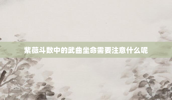 紫薇斗数中的武曲坐命需要注意什么呢