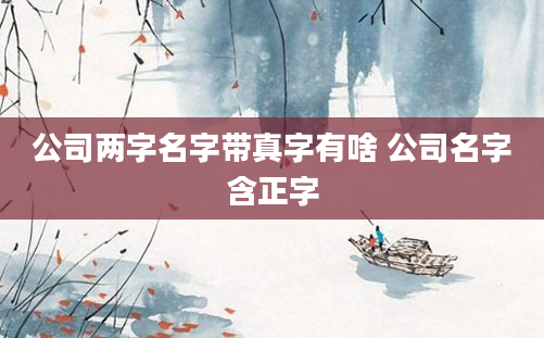 公司两字名字带真字有啥 公司名字含正字