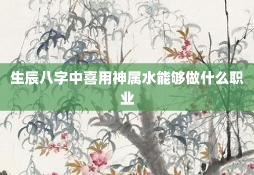 生辰八字中喜用神属水能够做什么职业