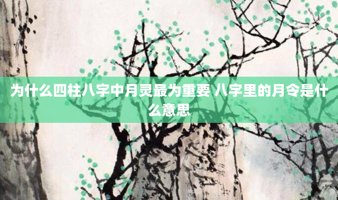 为什么四柱八字中月灵最为重要 八字里的月令是什么意思