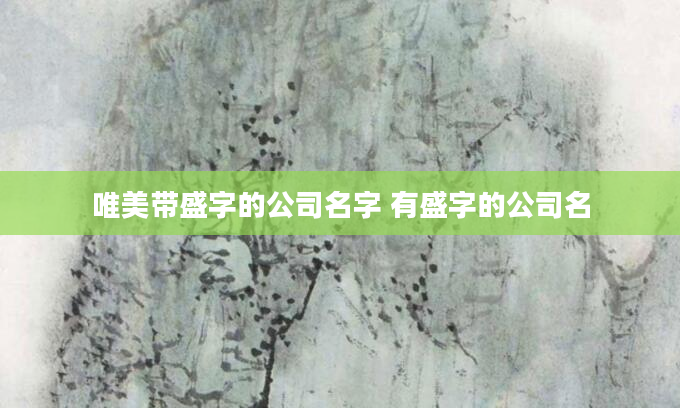 唯美带盛字的公司名字 有盛字的公司名
