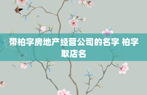 带柏字房地产经营公司的名字 柏字取店名