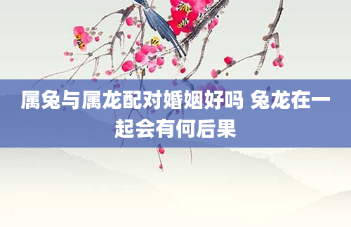 属兔与属龙配对婚姻好吗 兔龙在一起会有何后果