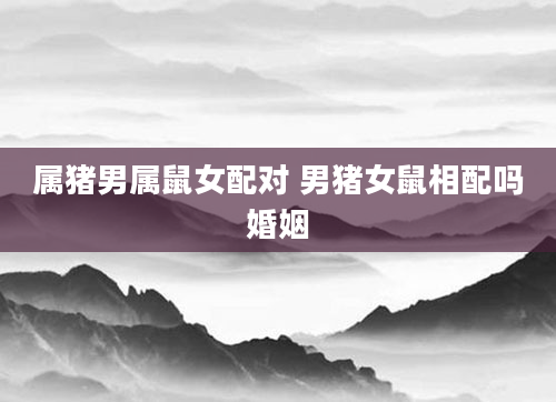 属猪男属鼠女配对 男猪女鼠相配吗婚姻