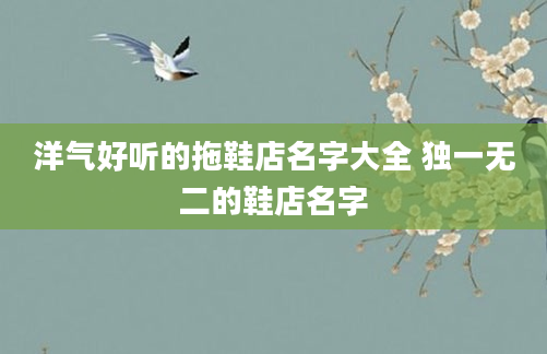 洋气好听的拖鞋店名字大全 独一无二的鞋店名字