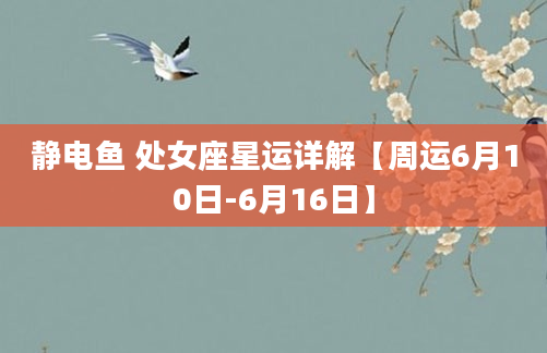 静电鱼 处女座星运详解【周运6月10日-6月16日】