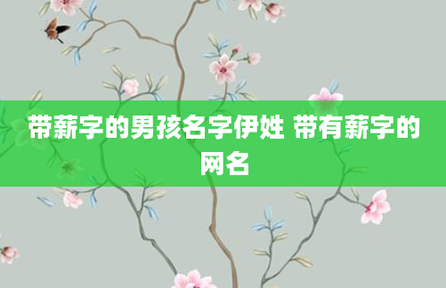 带薪字的男孩名字伊姓 带有薪字的网名