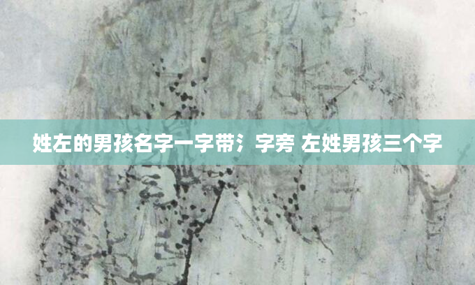 姓左的男孩名字一字带氵字旁 左姓男孩三个字