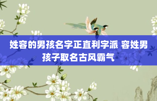 姓容的男孩名字正直利字派 容姓男孩子取名古风霸气